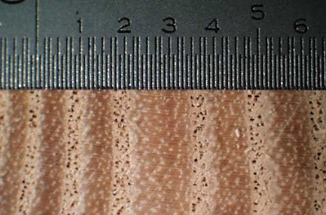 Wood Baseball Bats | ABC Bats