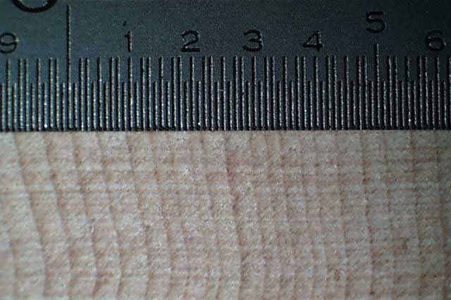 Wood Baseball Bats | ABC Bats