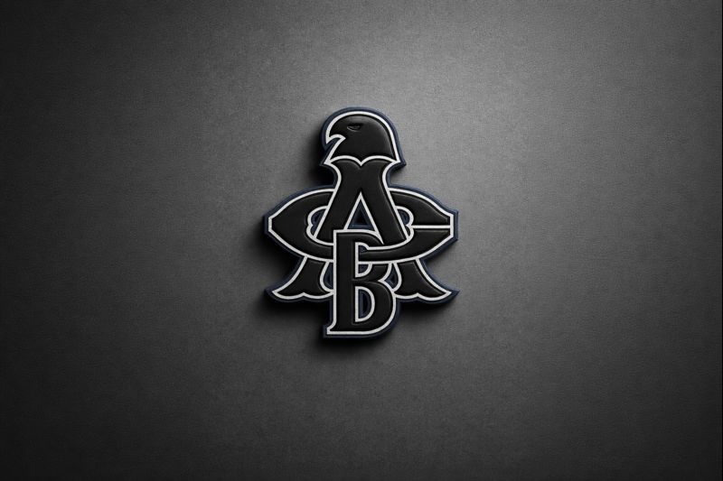 Wood Baseball Bats | ABC Bats